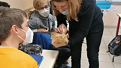 ProNaturA-France propose de développer le lien homme-animal à l’école : exemple de projet mené par nos adhérents en Collège. 