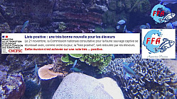 ProNaturA-France - Aquariophilie  Liste positive : une très bonne nouvelle pour les éleveurs