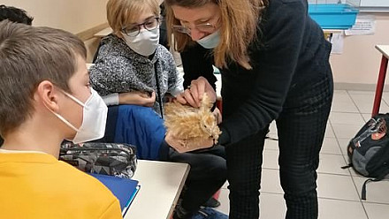 ProNaturA-France propose de développer le lien homme-animal à l’école : exemple de projet mené par nos adhérents en Collège. 
